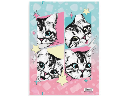 RNK Verlag Carton à dessin 'Sweet Cat', carton, A3