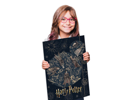 RNK Verlag Carton à dessin 'Harry Potter', carton, A3