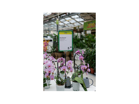 METO Pochette de protection pour cadre, A4, transparent