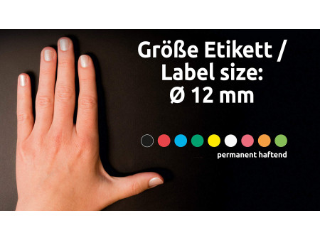 AVERY Zweckform Pastille de couleur, diamètre 12 mm, vert