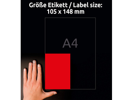 AVERY Zweckform Etiquette universelle, 105 x 148 mm, rouge