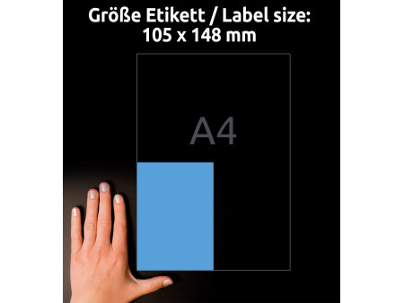 AVERY Zweckform Etiquette universelle, 105 x 148 mm, bleu