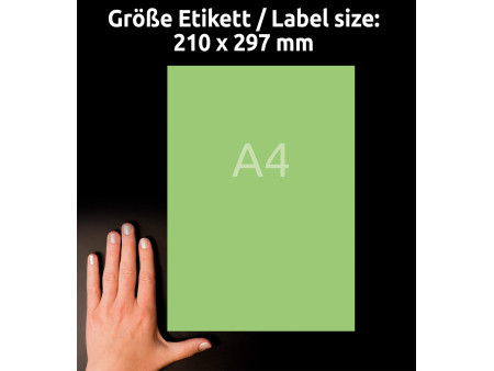 AVERY Zweckform Etiquette universelle, 210 x 297 mm, vert
