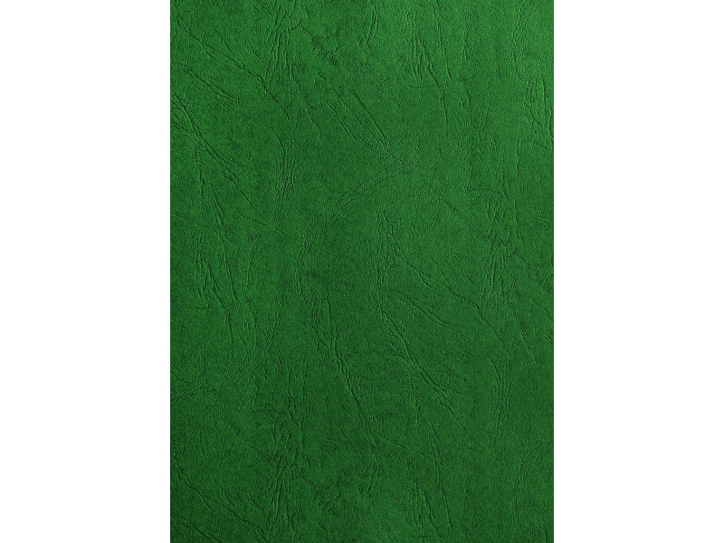 pavo Plats de couverture, grain cuir, A4, vert foncé