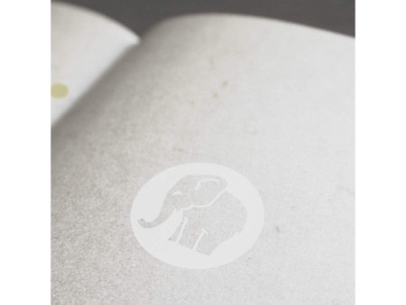 Papier spécial 'peau d'éléphant' gris clair