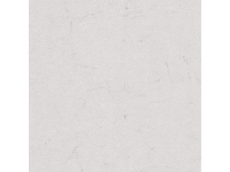 Papier spécial 'peau d'éléphant' gris clair