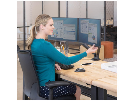 Fellowes Bras support pour écran double Platinum Series