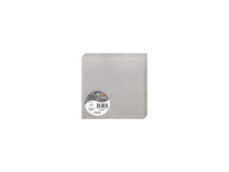 Pollen by Clairefontaine Carte double 135 mm, argent