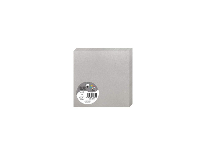 Pollen by Clairefontaine Carte double 135 mm, argent
