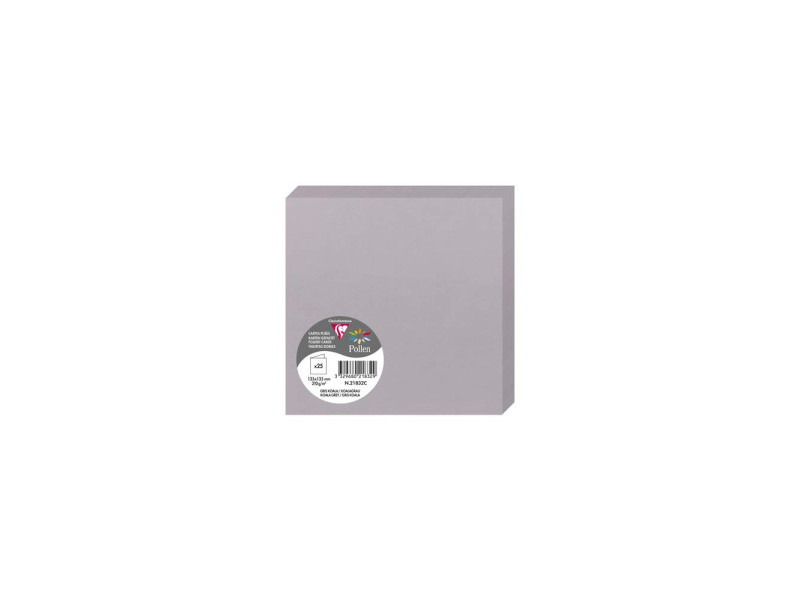 Pollen by Clairefontaine Carte double 135 mm, gris koala