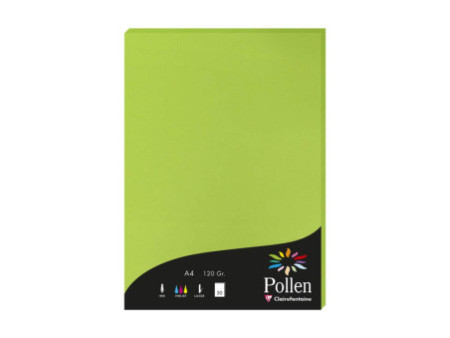 Pollen by Clairefontaine Papier A4, vert menthe