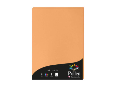 Pollen by Clairefontaine Papier A4, clémentine