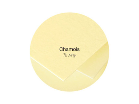 Pollen by Clairefontaine Enveloppes 140 mm, chamois