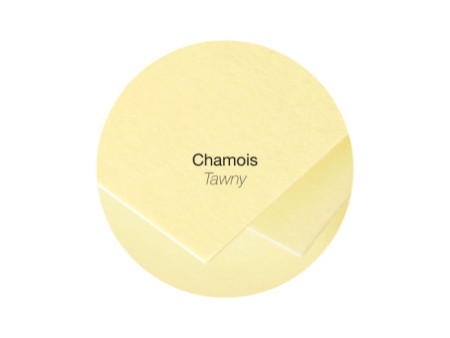 Pollen by Clairefontaine Enveloppes 140 mm, chamois
