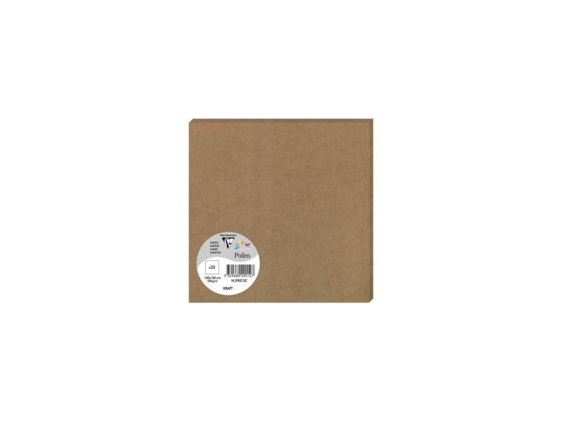 Pollen by Clairefontaine Carte kraft, 160 x 160 mm