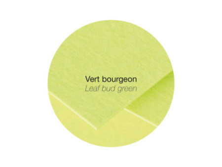 Pollen by Clairefontaine Enveloppes 165 mm, vert bourgeon