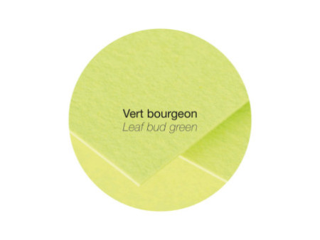 Pollen by Clairefontaine Enveloppes 165 mm, vert bourgeon