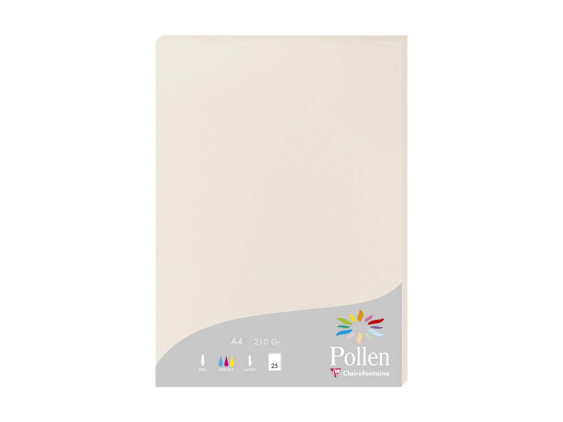 Pollen by Clairefontaine Papier A4, gris perle