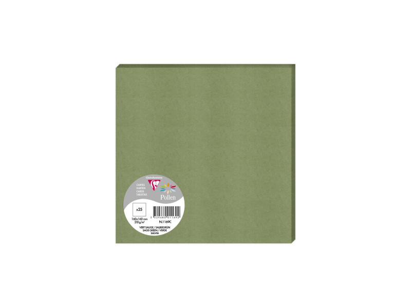 Pollen by Clairefontaine Carte 160 x 160 mm, vert sauge