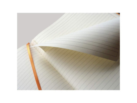 RHODIA Carnet de notes RHODIARAMA, A4+, ligné, turquoise