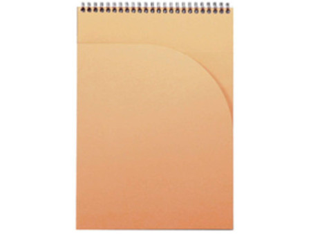 RHODIA Bloc spiralé Notepad, A4, quadrillé 5x5, noir