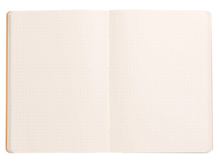 RHODIA Carnet souple RHODIARAMA, A5, pointillé dot, noir