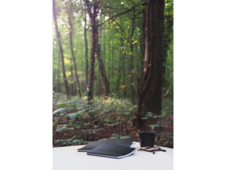 RHODIA Cahier à spirale GREENBOOK, A5+, ligné, noir