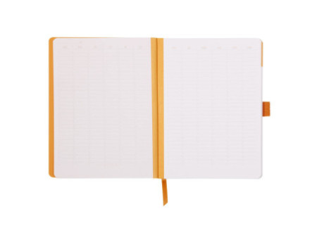 RHODIA Carnet RHODIARAMA Meeting Book, A5+, taupe