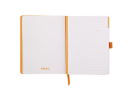 RHODIA Carnet RHODIARAMA Meeting Book, A5+, taupe