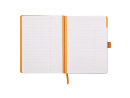 RHODIA Carnet RHODIARAMA Meeting Book, A5+, taupe