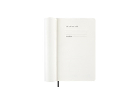 MOLESKINE Agenda 2026, journalier, L/A5, souple, vert