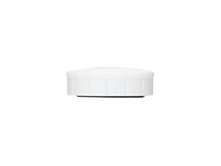 MAUL Aimant solide, pouvoir adhésif: 0,6 kg, blanc