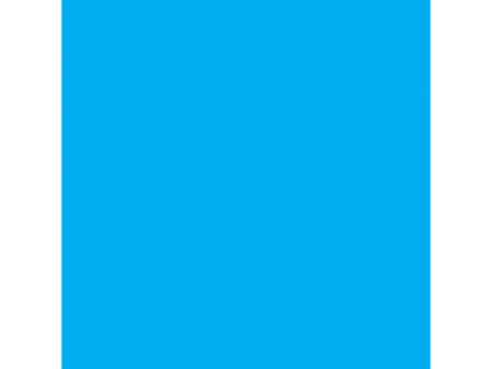 LEFRANC BOURGEOIS WINSOR & NEWTON Promarker Brush, cyan