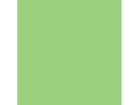 LEFRANC BOURGEOIS WINSOR & NEWTON Promarker Brush, pomme