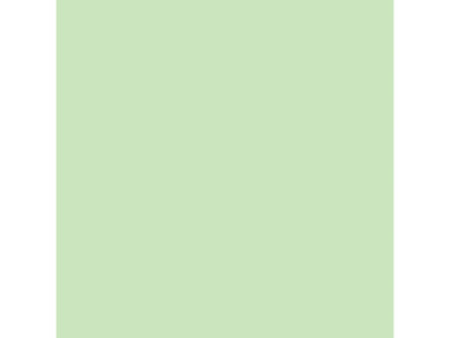 LEFRANC BOURGEOIS WINSOR & NEWTON Promarker Brush, vert