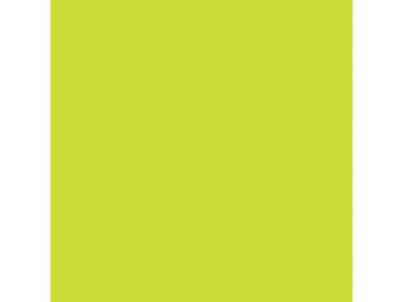 LEFRANC BOURGEOIS WINSOR & NEWTON Promarker, vert citron