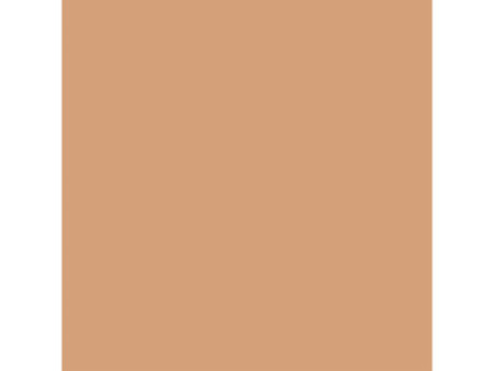 LEFRANC BOURGEOIS WINSOR & NEWTON Promarker, cannelle