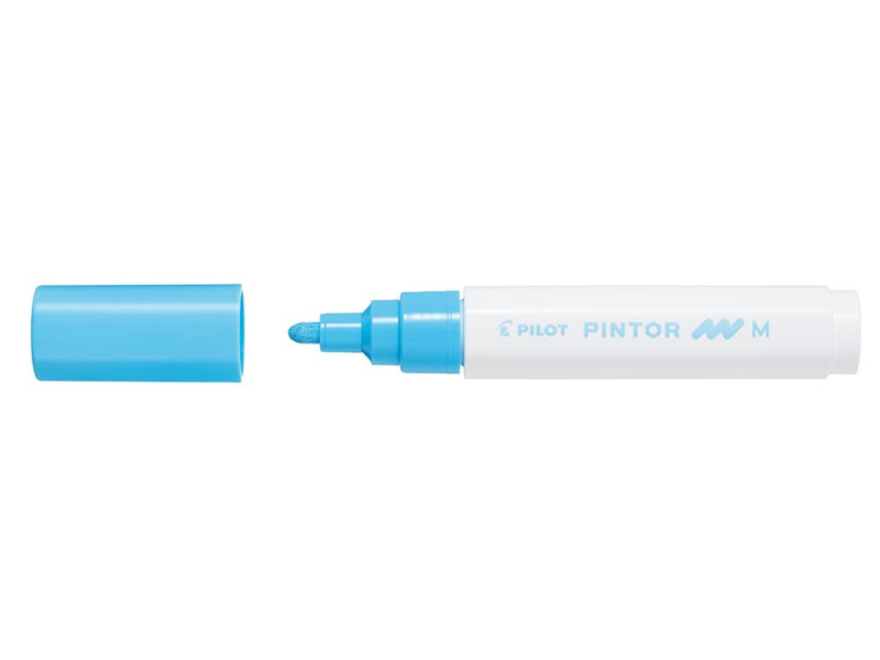 PILOT Marqueur à pigment PINTOR, medium, bleu pastel