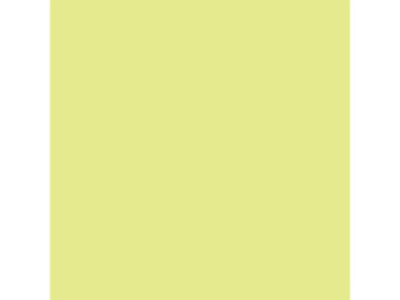LEFRANC BOURGEOIS WINSOR & NEWTON Promarker, zeste de lime