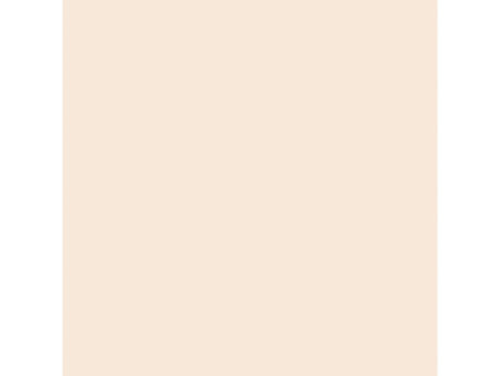 LEFRANC BOURGEOIS WINSOR & NEWTON Promarker, amande O819