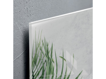 sigel Tableau magnétique en verre artverum Botanic, (L)1.300