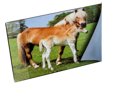 Läufer Sous-main cheval et poulain, 400 x 530 mm