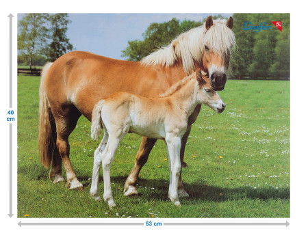 Läufer Sous-main cheval et poulain, 400 x 530 mm