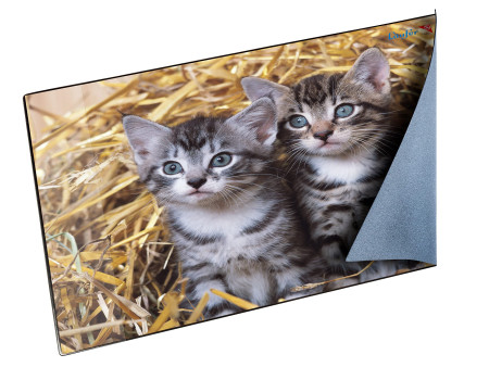 Läufer Sous-main 'chats dans les pailles', 400 x 530 mm
