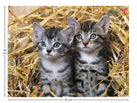 Läufer Sous-main 'chats dans les pailles', 400 x 530 mm
