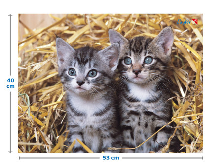 Läufer Sous-main 'chats dans les pailles', 400 x 530 mm