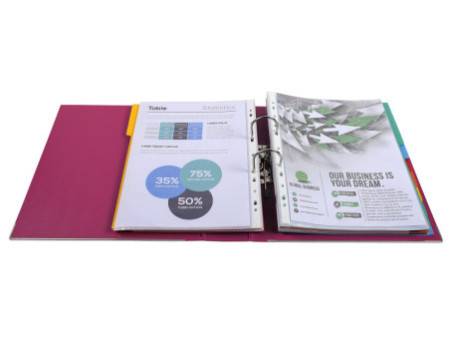 EXACOMPTA Classeur à levier PP Premium, A4, 80 mm, fuchsia