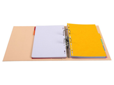 EXACOMPTA Classeur à levier PP Premium, A4, 80 mm, assorti