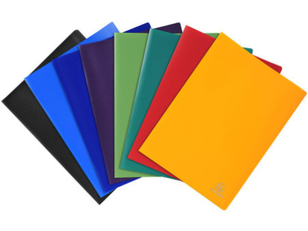 EXACOMPTA Protège-documents, A4, 50 pochettes, vert foncé