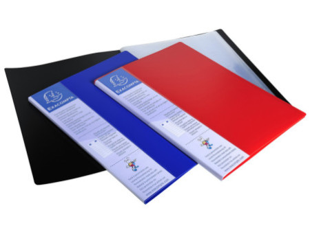 EXACOMPTA Protège-documents, A4, PP, 10 pochettes, noir